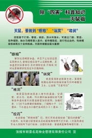 灭鼠除四害科普图片素材