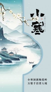 意境古风传统小寒节气广告设计