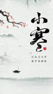 诗意古风小寒节气宣传海报