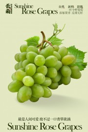 新鲜甜脆阳光玫瑰葡萄水果海报