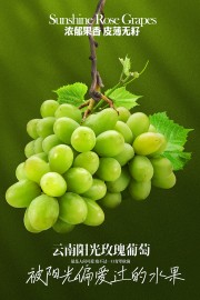 云南阳光玫瑰葡萄水果海报图片素材