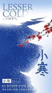 蓝色质感传统小寒节气海报宣传设计