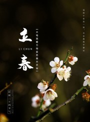 立春二十四节气海报模板