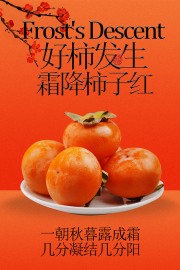 霜降柿子红美好发生传统节气海报