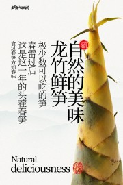 自然美味龙竹鲜笋美食海报