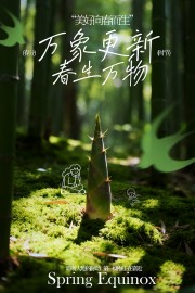 春分时节美好向春而生海报