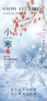 雪花插画小寒节气海报