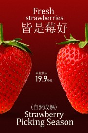新鲜草莓开启美好采摘季宣传海报