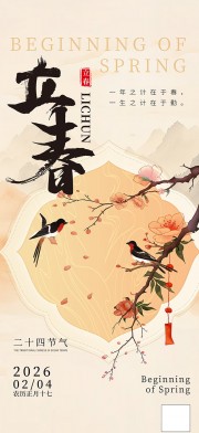 简约中国风立春二十四节气宣传海报