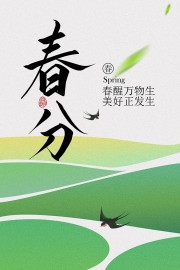春分时节田野飞鸟传统节气广告