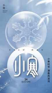 寒风凛冽小寒时节中国传统节气海报