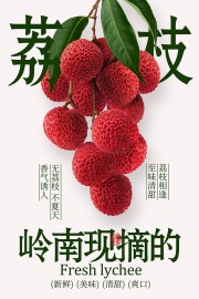 新鲜荔枝海报图片素材下载