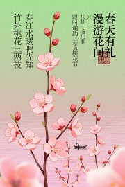 共赏桃花节限时邀约宣传海报