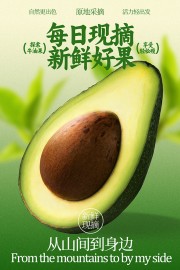 每日现摘新鲜牛油果水果海报