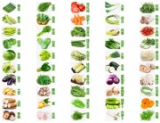 新鲜蔬菜认知图设计