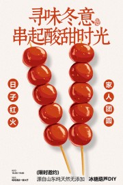 寻味冬意酸甜糖葫芦促销海报