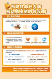 预防狂犬病知识海报设计