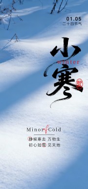 蓝色二十四节气小寒广告