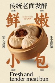 传统老面发酵鲜嫩小肉包美食广告