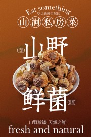 山野鲜菌食材美食宣传图片素材
