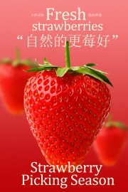 自然成熟脆甜鲜感草莓水果海报