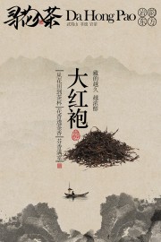 非遗岩茶大红袍茶叶宣传海报图片素材