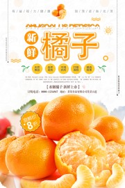 桔子水果宣传海报图片素材