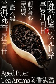 一盏入魂陈香普洱茶叶宣传海报