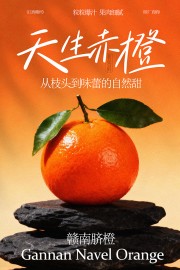 ��������������ˮ������