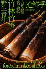 野生青汁竹林竹笋美食海报