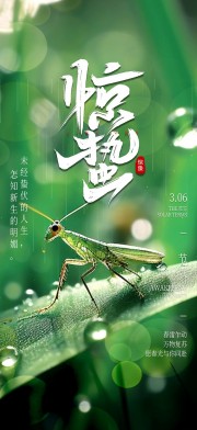 惊蛰节气海报