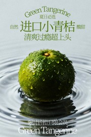 进口小青桔自然酸甜清爽过瘾水果海报