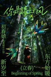 ����ʼ�����������й���ͳ