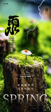 春天插画雨水24节气海报