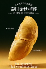 泰国金枕榴莲口口留香水果海报模板下载