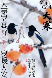 大寒岁暮双鹊伴秋柿传统节气海报