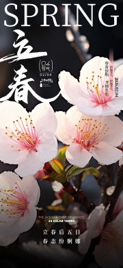 ��������24�������