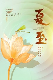 荷花插画夏至二十四节气海报