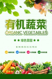 清新风新鲜蔬菜宣传海报