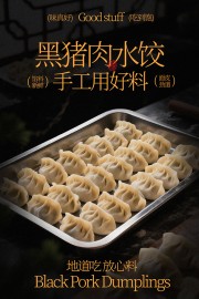 馅料新鲜黑猪肉水饺美食海报