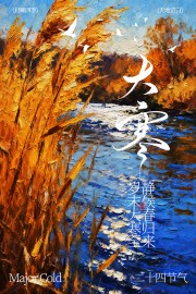 封藏四季天地留白大寒节气海报