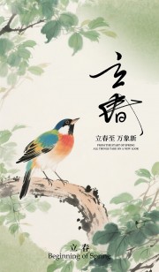 ��ɫ����������������