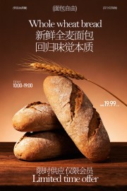 ȫ���������������ʳ����