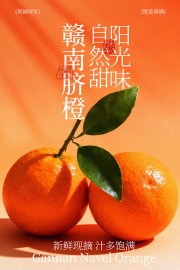 阳光赣南脐橙自然鲜甜水果海报