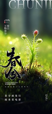 春分春季24节气海报