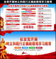 全党开展树立和践行正确政绩观学习教育党建展板