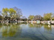 湖边柳树建筑倒影美景