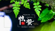 惊蛰二十四节气海报图片素材