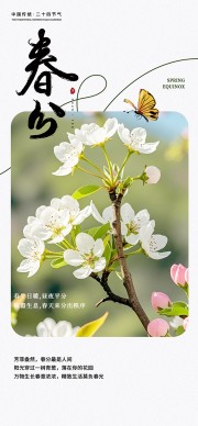 春分时节芳菲盎然中国传统节气海报