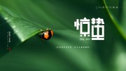 惊蛰节气海报图片素材
